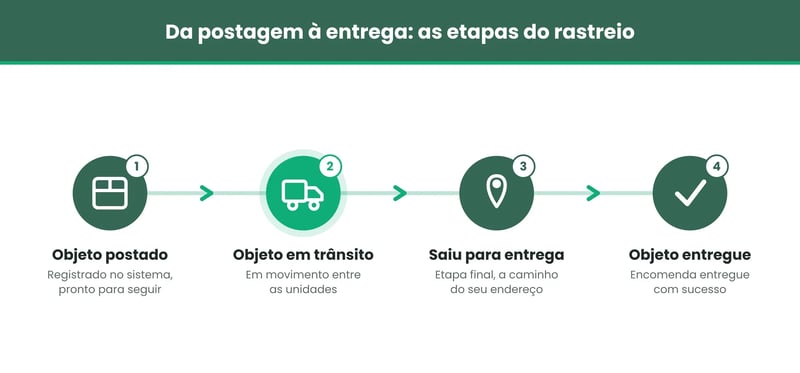 etapas do rastreio